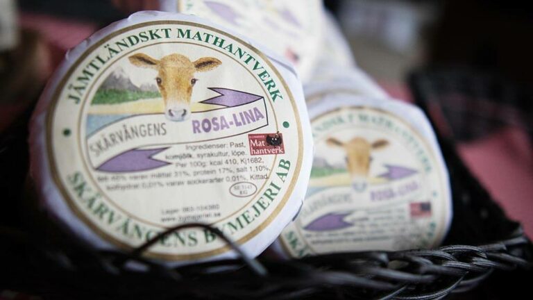 Torstamassan_MG_4338