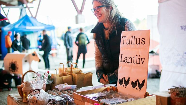 Torstamassan_MG_4651